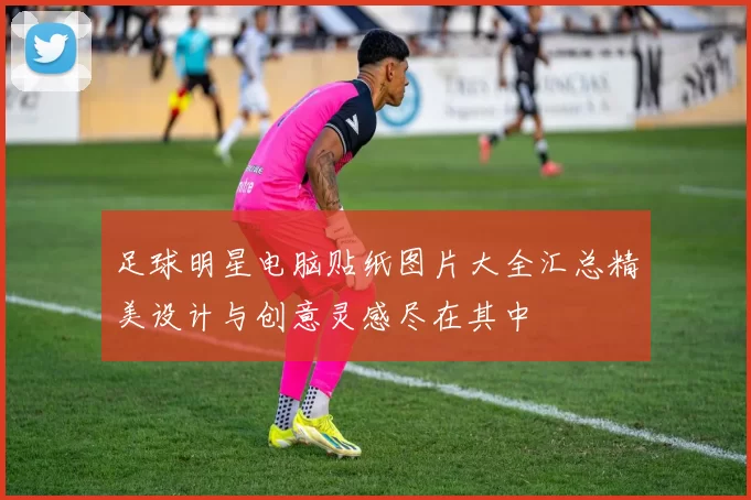 足球明星电脑贴纸图片大全汇总精美设计与创意灵感尽在其中