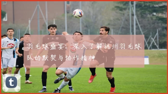 羽毛球盛宴：深入了解杭州羽毛球队的默契与协作精神