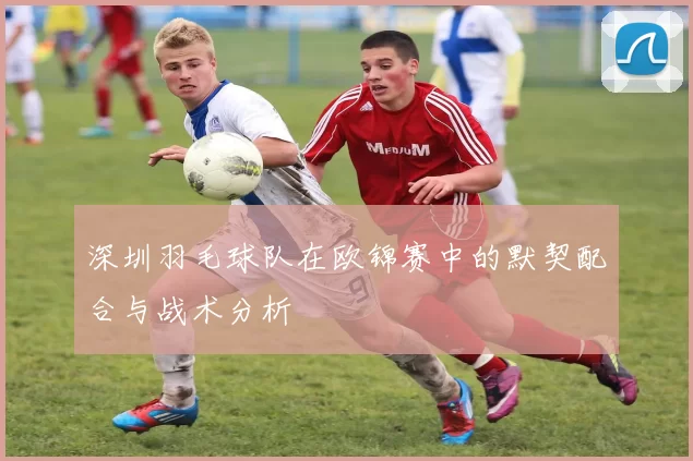 深圳羽毛球队在欧锦赛中的默契配合与战术分析