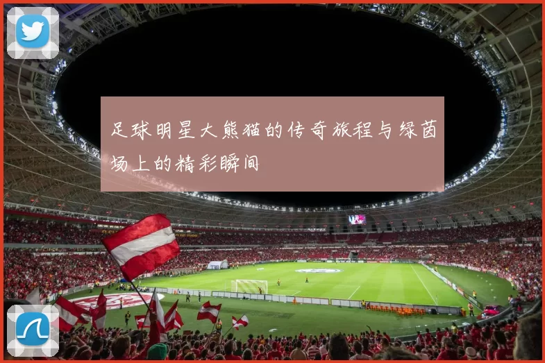 足球明星大熊猫的传奇旅程与绿茵场上的精彩瞬间