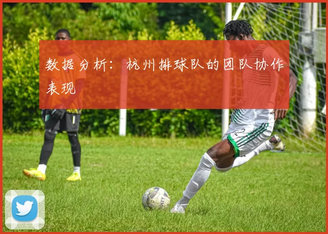 数据分析：杭州排球队的团队协作表现